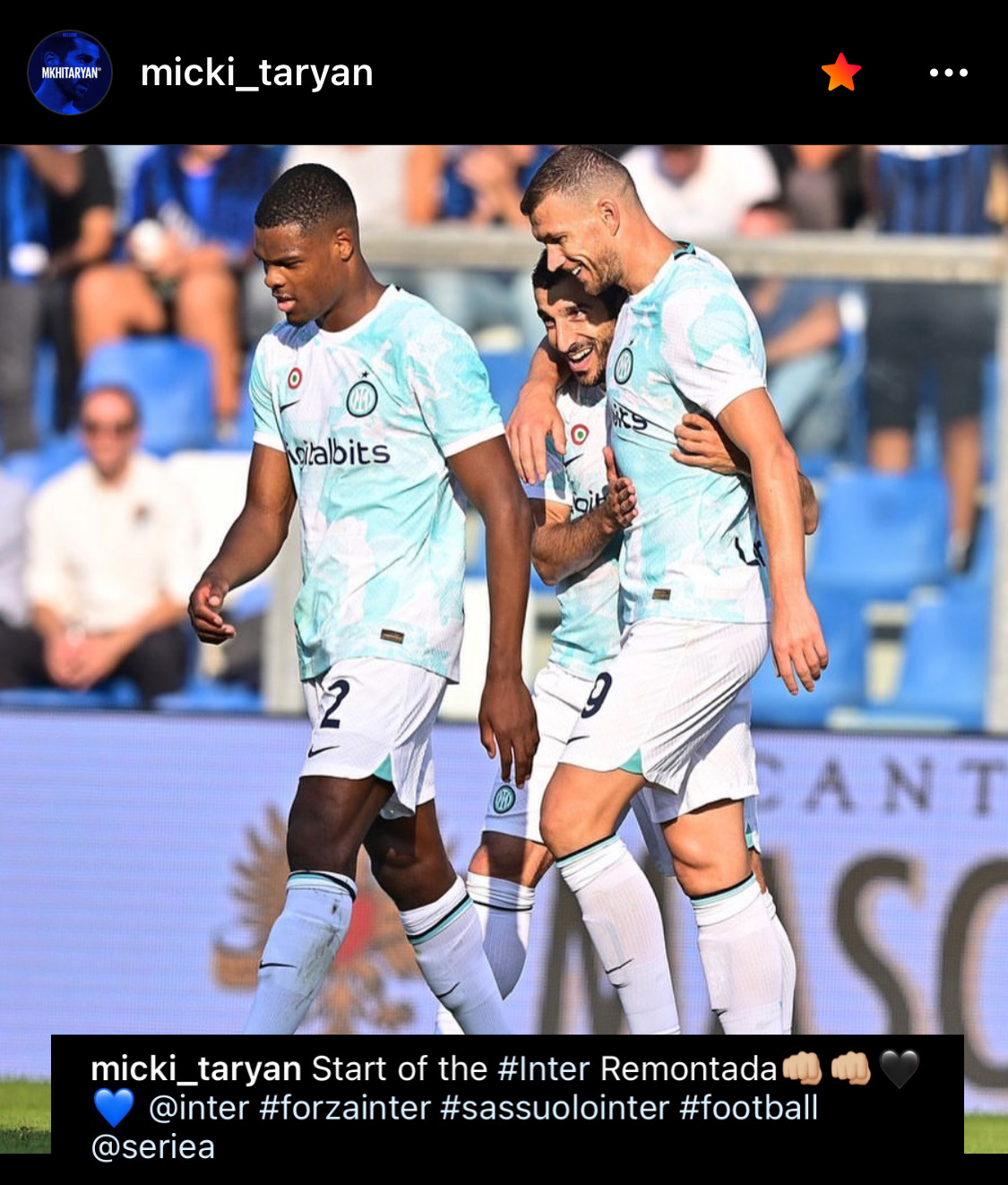 Sassuolo - Inter, dieci cigni post - partita 2 Ranocchiate