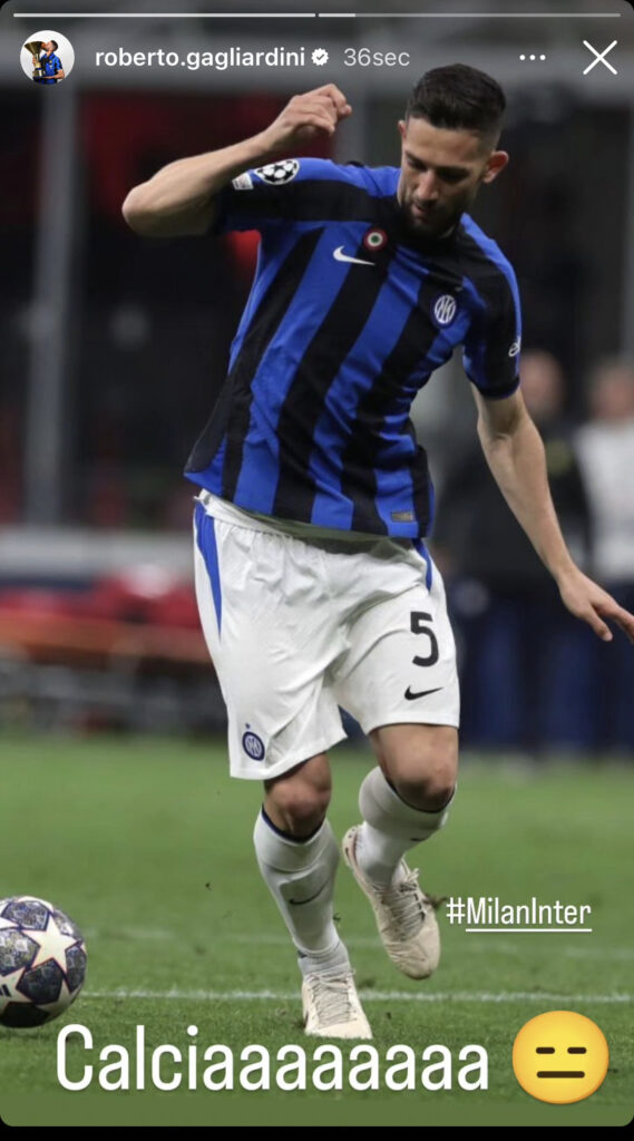 Milan - Inter, dieci cigni molto calmi post-partita 32 Ranocchiate